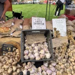 Garlic Fest 2026 -IMG_1095