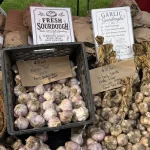 Garlic Fest 2026 -IMG_1102