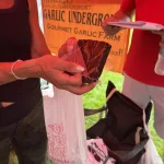 Garlic Fest 2026 -IMG_1131